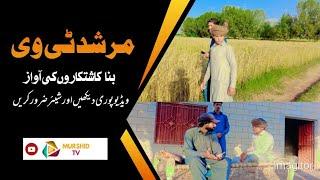 مرشد ٹی وی بنا کاشتکاروں کی آواز | Murshid TV | New | funny 2024| Commedy | viral | Top trending |ik