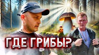 In Search of Edible Mushrooms: Expedition with Seryozha Golovores 