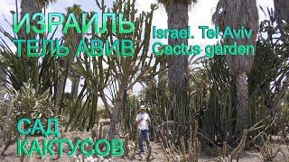 Израиль | Тель Авив | Сад кактусов | Israel | Tel Aviv | Cactus garden