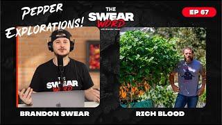 TSW: Ep 67 | Guest: Rich Blood - The Pepper Guru | Hot or Not: Down To Ferment