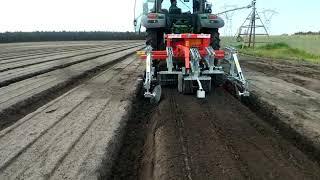 bineuse for carottes, carrots weeding machine, cultivadora para zanahoria