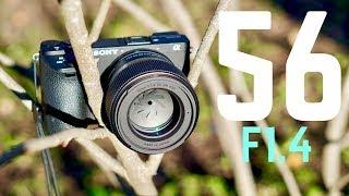 Sigma 56mm F1.4 Lens Review: It's Perfect.