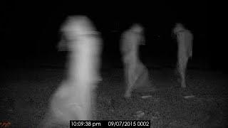 5 Disturbing Videos Caught by Campers in the Woods