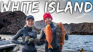 This VOLCANO island is Seafood PARADISE - White Island Spearfishing in New Zealand