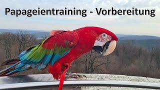 Papageientraining - Vorbereitung