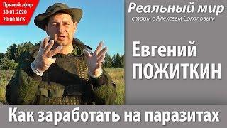 Евгений ПОЖИТКИН, канал Sekretmesto. «Как заработать на паразитах». Скайп-конференция 30.01.2020.