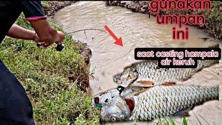 CASTING IKAN HAMPALA DI SUNGAI KERUH‼️ casting ikan hampala umpan minnow