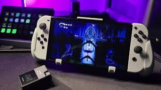 HOLLOW KNIGHT ON SWITCH OLED GAMEPLAY