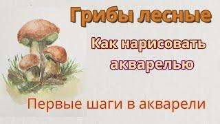 Как нарисовать акварелью лесные грибы. Первые шаги в акварели