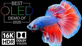 Dolby Vision 16K HDR 120fps EXPOSED - The Best OLED DEMO of 2025