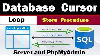 How To Use Database Cursor in Store Procedure To Iterate Loop | Wonderful Usage