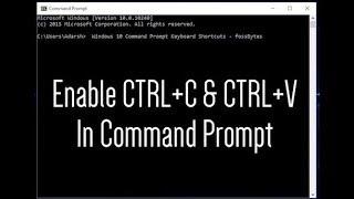 How to Copy and Paste in Command Prompt on Windows 10