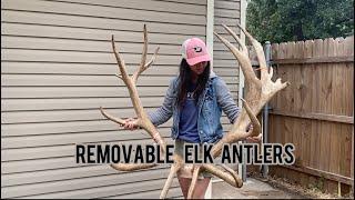 How to Make Elk Antlers Removable/Detachable - Taxidermy Mounts