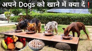 World's Cheapest Homemade & Healthy Food For Our Dog | Summer Diet For Dogs | Dog Food At Home