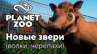 [3] Новые животные (волки, черепахи)  - PLANET ZOO | Прохождение на русском