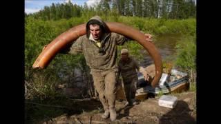 Photographer Joins Illegal Mammoth Tusk Hunt in Siberia Slideshow