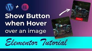Show Button When hover over an image in elementor  || Image hover effects in elementor