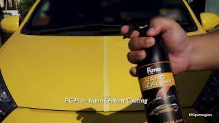 PG Pro Nano Sealant Coating is it that good?? (PG Waterless Wash n Shine , PG Wonder Clay)