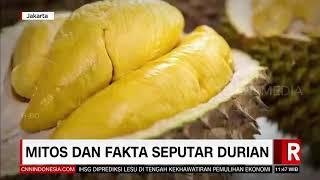 Fakta Dan Mitos Seputar Durian | REDAKSI SIANG (20/01/21)