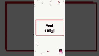 Yeni 1 Bilgi#43- Beyin #shorts