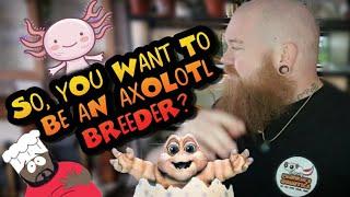 SO, YOU WANT TO BE AN AXOLOTL BREEDER?