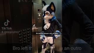 Bro Left the Elevator With an Outro  (Furry Memes)