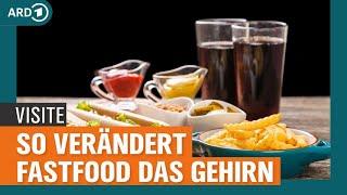 Neue Studie zeigt: Zucker und Fette verändern das Gehirn | Visite | NDR