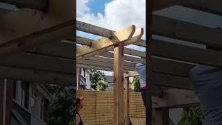 pergola #diy #carpentry #powertools #woodworking #engineering