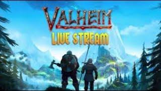 Iron age here we go | Valheim Live | !clip !discord !donate