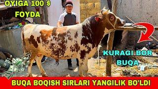 BUQA BOQISH SIRLARI 91-055-59-57 SOTILADI SAVDOLASHAMIZ