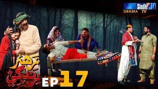 Zahar Zindagi - Ep 17 | Sindh TV Soap Serial | SindhTVHD Drama