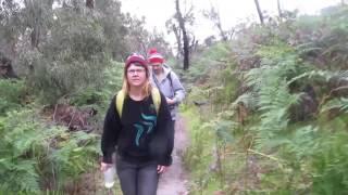 Grampians National Park: Buandik 2016