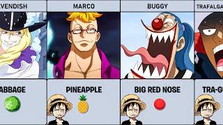 One Piece Weird NICKNAMES!! Given By Luffy