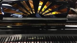 Seiler Pianos For Sale | New & Used Pianos