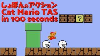 Cat Mario completed by a robot in 100 seconds 