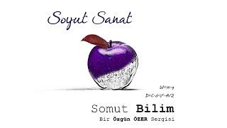 Soyut Sanat Somut Bilim - Dr. Özgün Özer