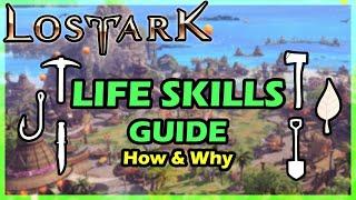 Lost Ark - Life Skills Guide || How & Why (OUTDATED check description)