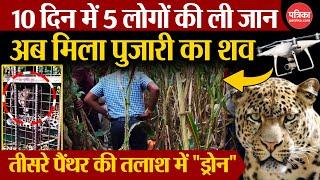 Udaipur Panther Attack: Man-eater Panther! 5 people lost their lives in 10 days, priest's body found. Rajasthan News