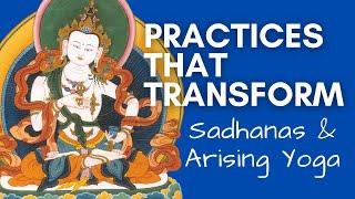 Practices that Transform: Sadhanas & Arising Yoga