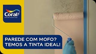 Coral Renova | Limpar o mofo? Não complica!