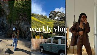 WEEKLY VLOG | girlfriend hangs, a malibu staycation, jules in LA!