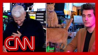 Anderson Cooper completely loses it as John Mayer dials in from a cat bar