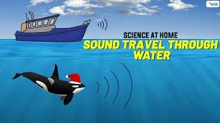 How Does Sound Travel through Water? | Easy Science Experiment | #science #scienceproject