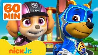 PAW Patrol's Best Costumes! w/ Chase & Skye  1 Hour Compilation | Nick Jr.