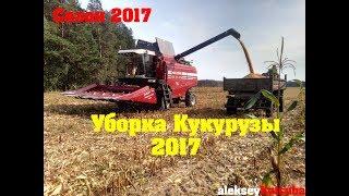 Уборка Кукурузы 2017 Palesse Gs12A1 в Беларуси