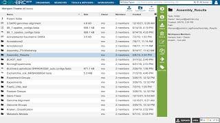 BV-BRC Workspace introduction and use