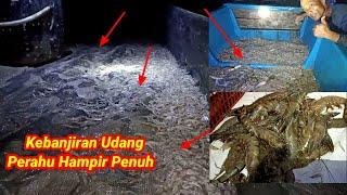 Cuaca Ekstrem!!! Kebanjiran Udang Perahuku Hampir Penuh