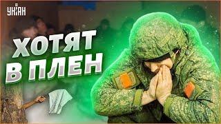 Российские солдаты массово сдаются в плен и благодарят ВСУ за спасение