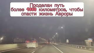 Собака Аврора ушла на радугу