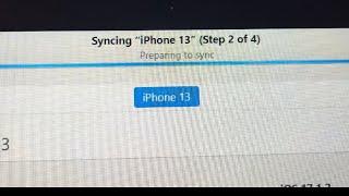 Fixed - iTunes on Windows stuck on “Preparing to Sync”